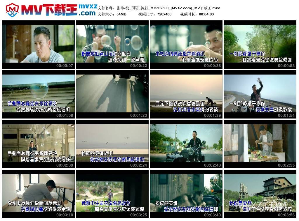 张玮-绽_国语_流行_MB302500